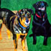 Copper and Lucky