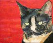 Golightly