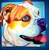 Roz